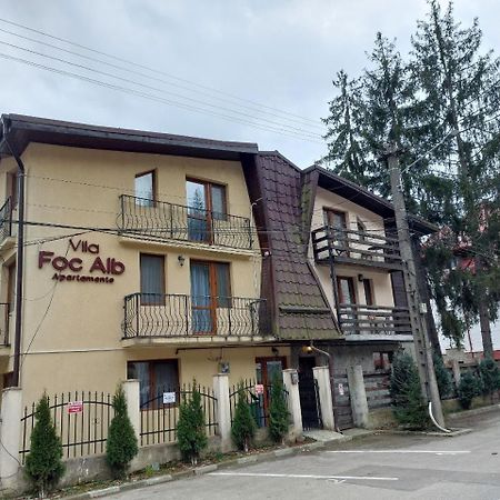 Vila Foc Alb Apartamente-Буштені Екстер'єр фото