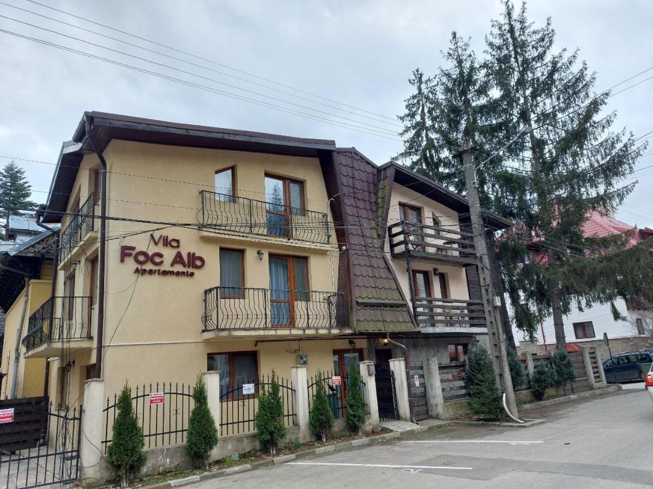 Vila Foc Alb Apartamente-Буштені Екстер'єр фото
