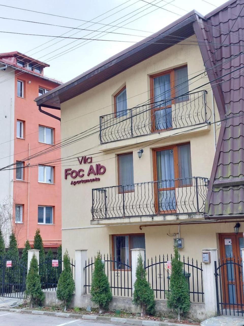 Vila Foc Alb Apartamente-Буштені Екстер'єр фото